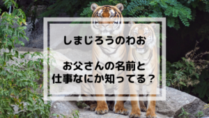 しまじろうのお父さん 名前や職業は？仕事とおかゆ好きを調査