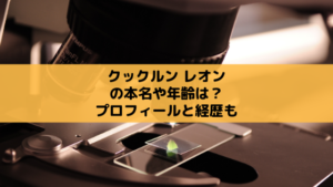 クックルン レオンの本名や年齢は？ハーフイケメンはテニミュ出演の舞台俳優さん