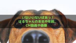 いないいないばあ はるちゃんの本名や年齢は？子役の動画やプロフィールをチェック